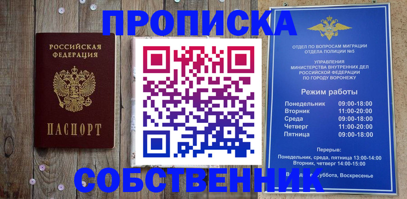 прописка 2025 в Могочи